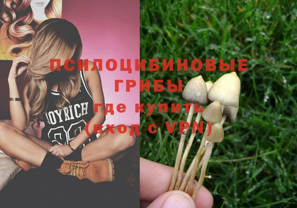 стаф Алзамай