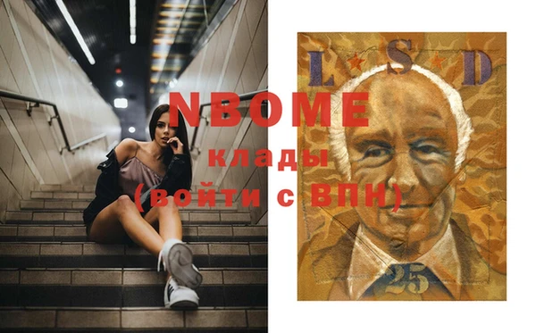стаф Алзамай