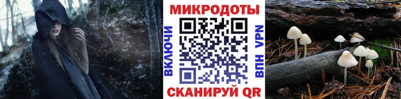 Псилоцибиновые грибы прущие грибы  Полярный 